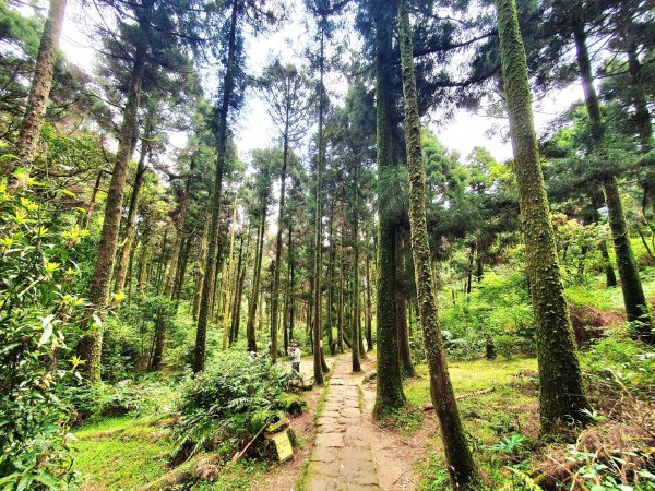 頂山，石梯嶺，竹篙山，雞心崙，五指山，梅花山，香對山，雙溪溝古道，風櫃嘴步道，土城明德山1664646