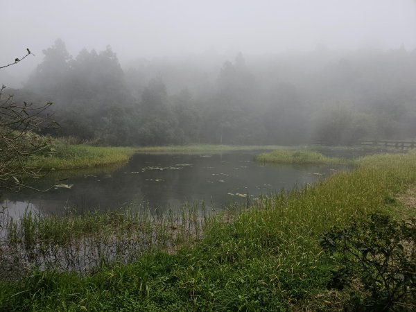 2025臺北大縱走第三段：小油坑至風櫃口2973459