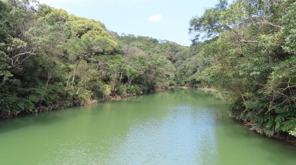 第四段B 北面步道埤頭--大湖公園站1276649