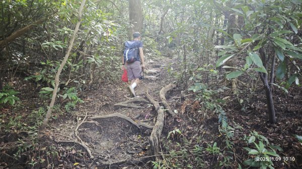 20251109 士林站到大湖站(福山宮_腰繞_燕溪古道_翠山步道_龍船岩_大溝溪)2932342