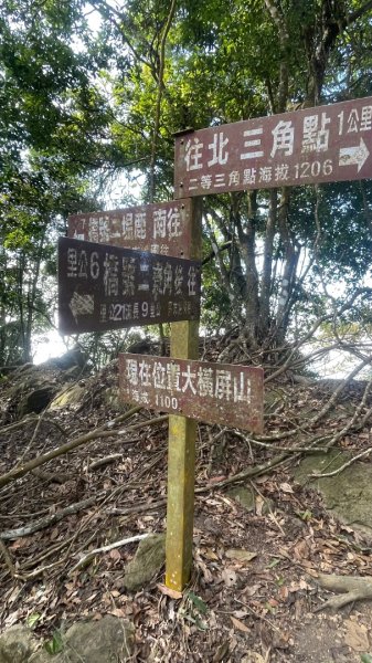 賞梅快閃-2天ko南投小百岳七座➕二條百大2979854