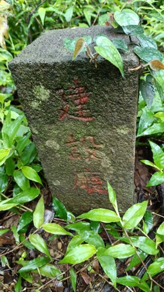 金交椅山東北峰2729806