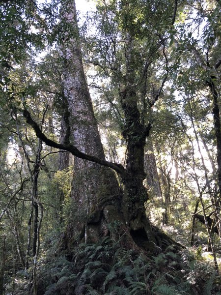 2020/11/15 鎮西堡基那吉山1170814