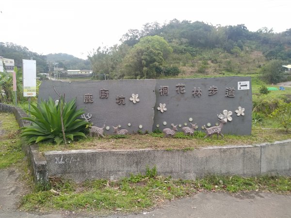 鹿廚坑健行步道－迷鹿亂走1610720