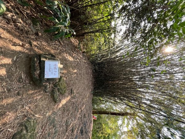 20250229_台北天際線第十段（中和-土城）2855541