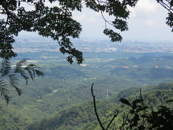 大溪十三分山．金面山O型266011