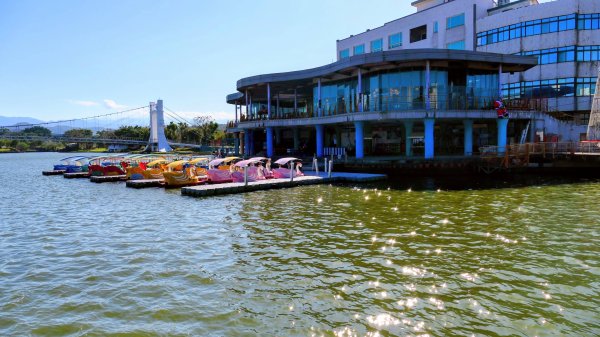 落羽松大道,龍潭大池2976189