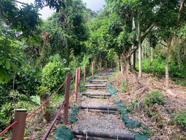 阿拔泉山稜線步道2642164