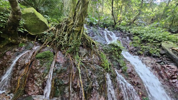 20250808內柑宅古道-紅葉谷瀑布2857236