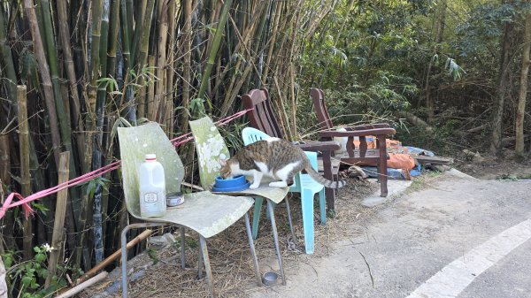 四角坪道、羊寮坑道3002333