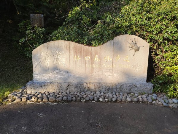 林口頂福巖森林步道2838106