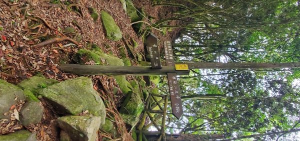 橫沙迪O型縱走_大雪山社區登山口2826554