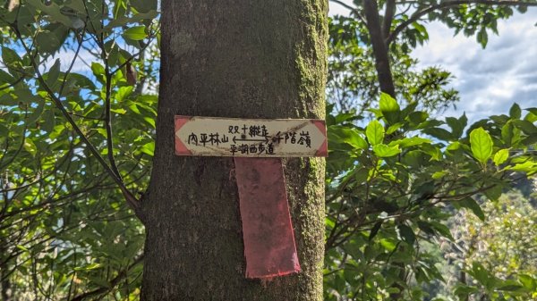 114.06.28內平林山-番子坑山-平湖森林遊樂區之O型2824246