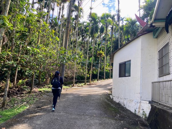 後尖山步道2683548