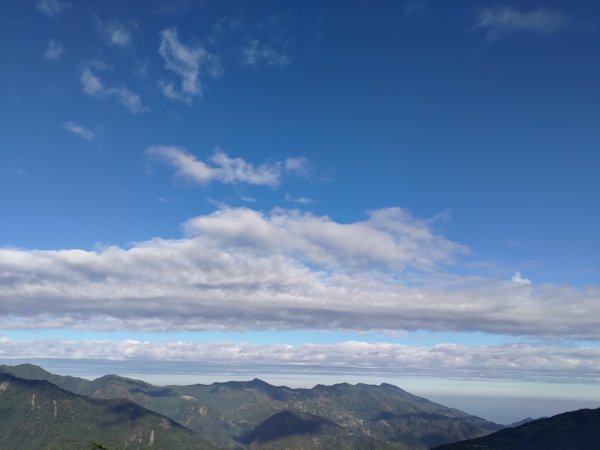 【新竹縣五峰鄉】檜山巨木森林步道2833689