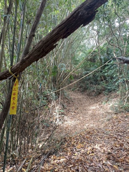 穿霧隘勇線-中三鹿2991741