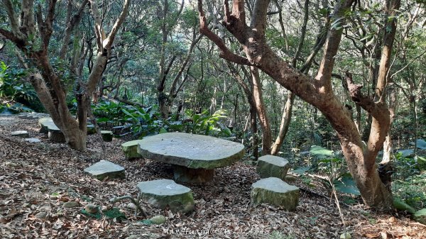 《彰化》卦山少林｜花壇西來園（銀行山）登山步道202412012657898