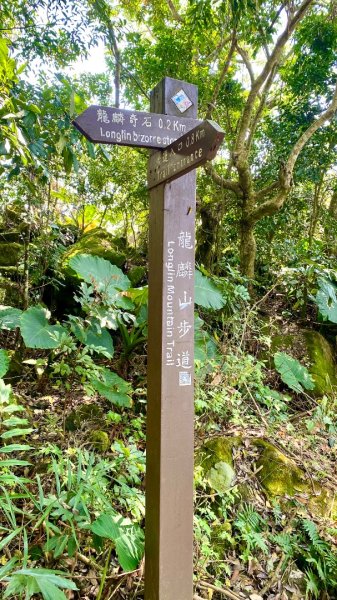 龍麟山登山步道2730757