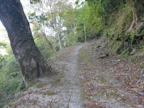 永安山、百志興保山1679611