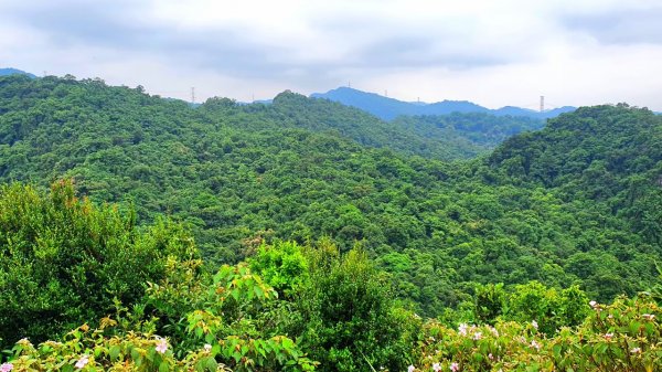 基隆槓子寮山，龍崗步道，瑞芳象鼻岩，老梅綠石槽，內湖老鷲尖山，翠湖，內溝山，油桐嶺1859844