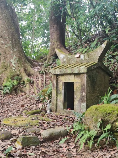 飛沙龍逆走2988865