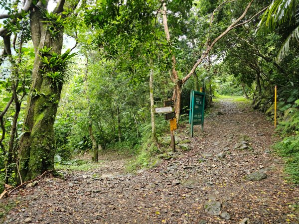 得卡倫步道2833849