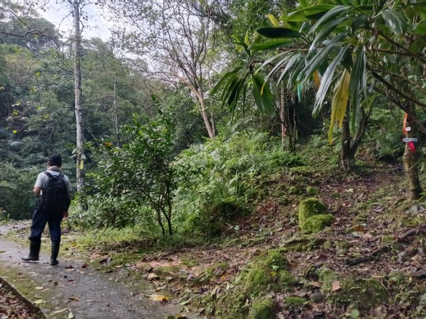 平溪區善覺寺步道+畝畝山北稜線+畝畝山+石硿子瀑布+灰窯瀑布O型2940002