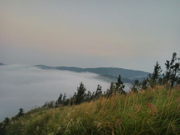 105.10.陽明山 竹篙山 頂山 石梯189646