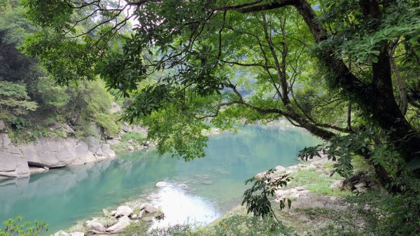 福山部落,內洞森遊區2552474