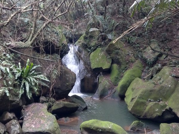 圓覺寺步道1453880