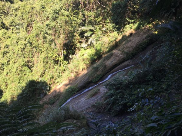 北得拉曼神木步道、內鳥嘴山、山毛櫸、瀑布2348757