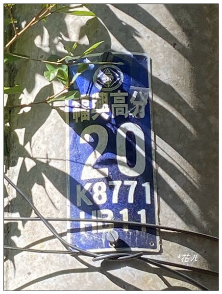 頭社山主峰及基點峰(社頭山)2681582