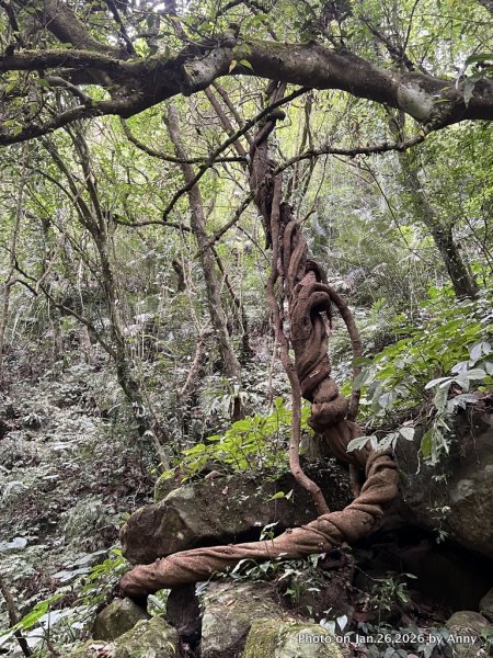 【新竹縣】親民又原始的馬胎古道＋南坪古道2991168