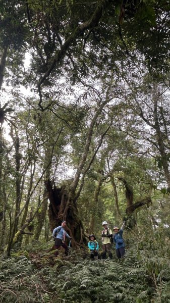 大同九分山/九份山3027614