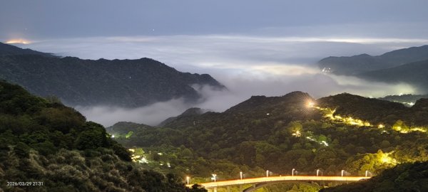 雲山水花鳥蝶-天龍國阿伯的日常 3/29-303026166