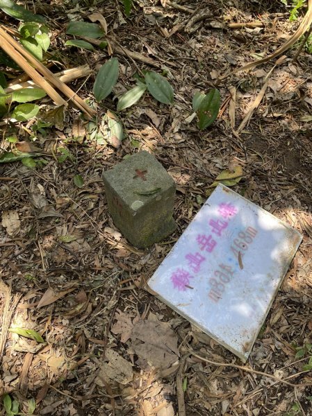 魚猴13連峰2757352