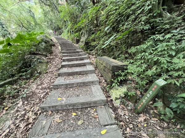 【新竹縣】親民又原始的馬胎古道＋南坪古道2991176