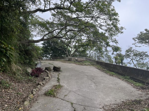 2023_0429_挑筍古道2138242