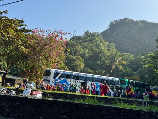 大社觀音山(小百岳#)2968349