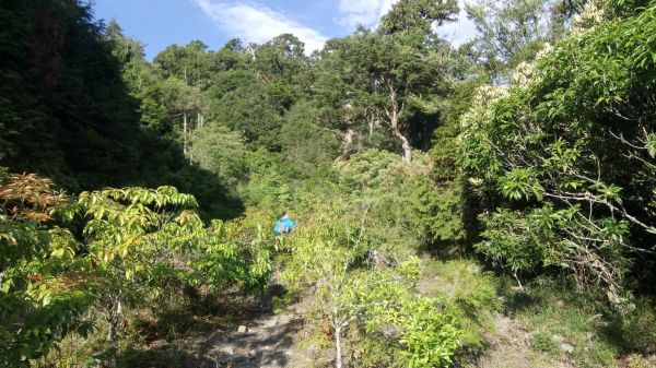 挑戰不可能的任務「羅馬縱走」349558