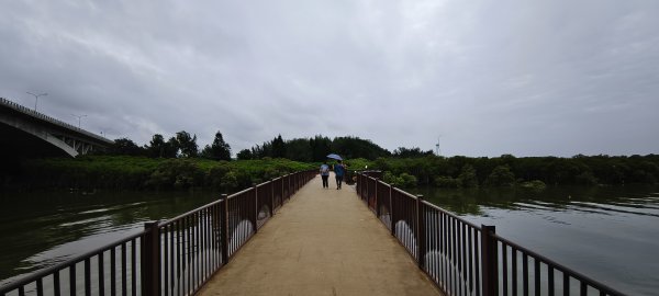2026/06/28 新豐紅樹林生態保護區3079817