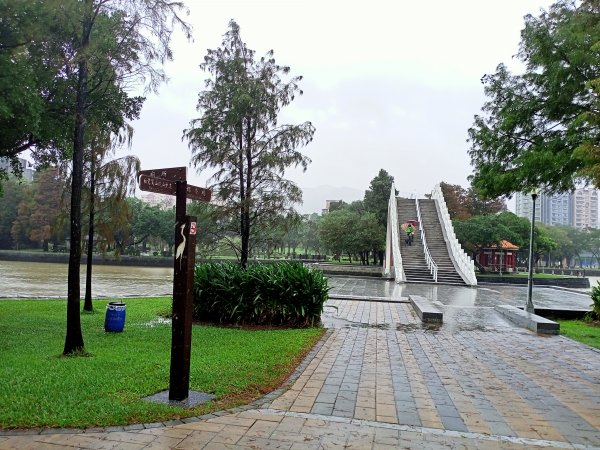 大湖公園 (防災公園)【走路趣尋寶，全臺齊步走】1895269