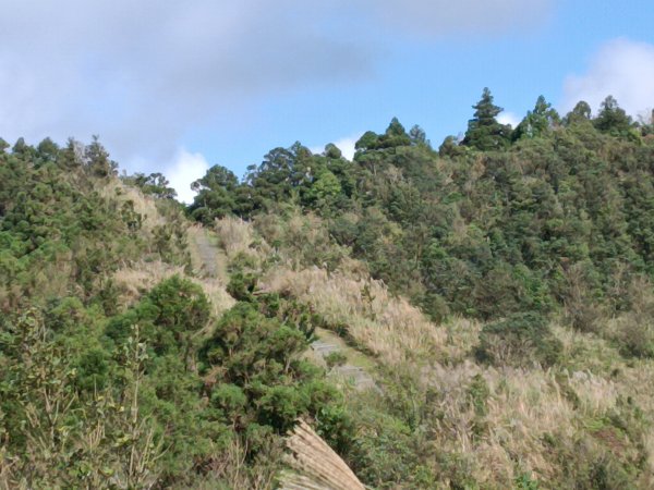 基隆市暖東舊道+頂子寮山+五分山步道(五分山)去回2946191