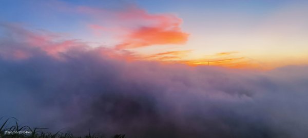 #大屯山 #日出 #雲海 #火燒雲 #霞光 #青斑鳳蝶 #青帶鳳蝶 #臺灣粉蝶 6/233078157