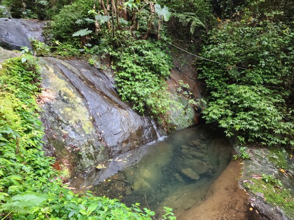 小百岳No.25⛰石牛山2478555