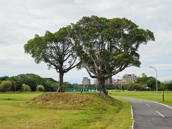 2025臺北大縱走第八段：捷運動物園站至捷運關渡站[河濱自行車道]2924034