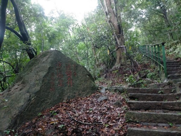 臺北大縱走第七段：世界山莊至飛龍步道2810205