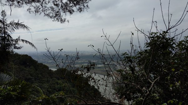 20230120_三峽_鳶山登山步道_五十分山2001601