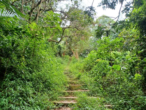 【台中北屯】南觀音山步道2933189