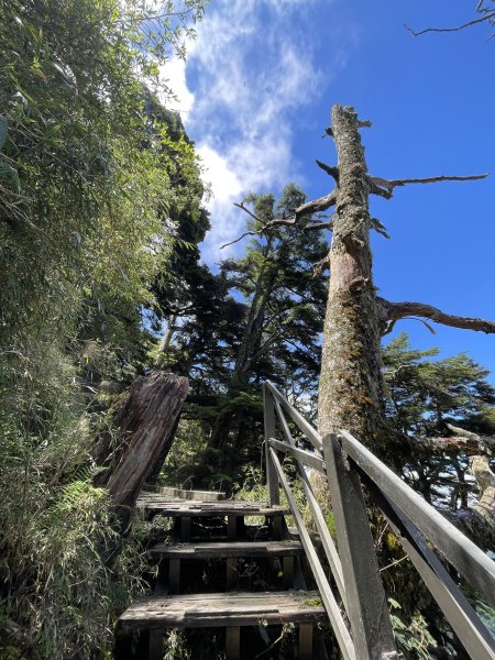 玉山主北 2025 06/07 兩天一夜2866142